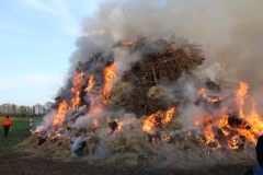 k-IMG_0080