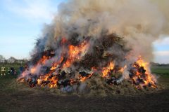 k-IMG_0084
