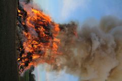 k-IMG_0102